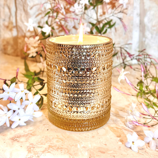 Egyptian Jasmine