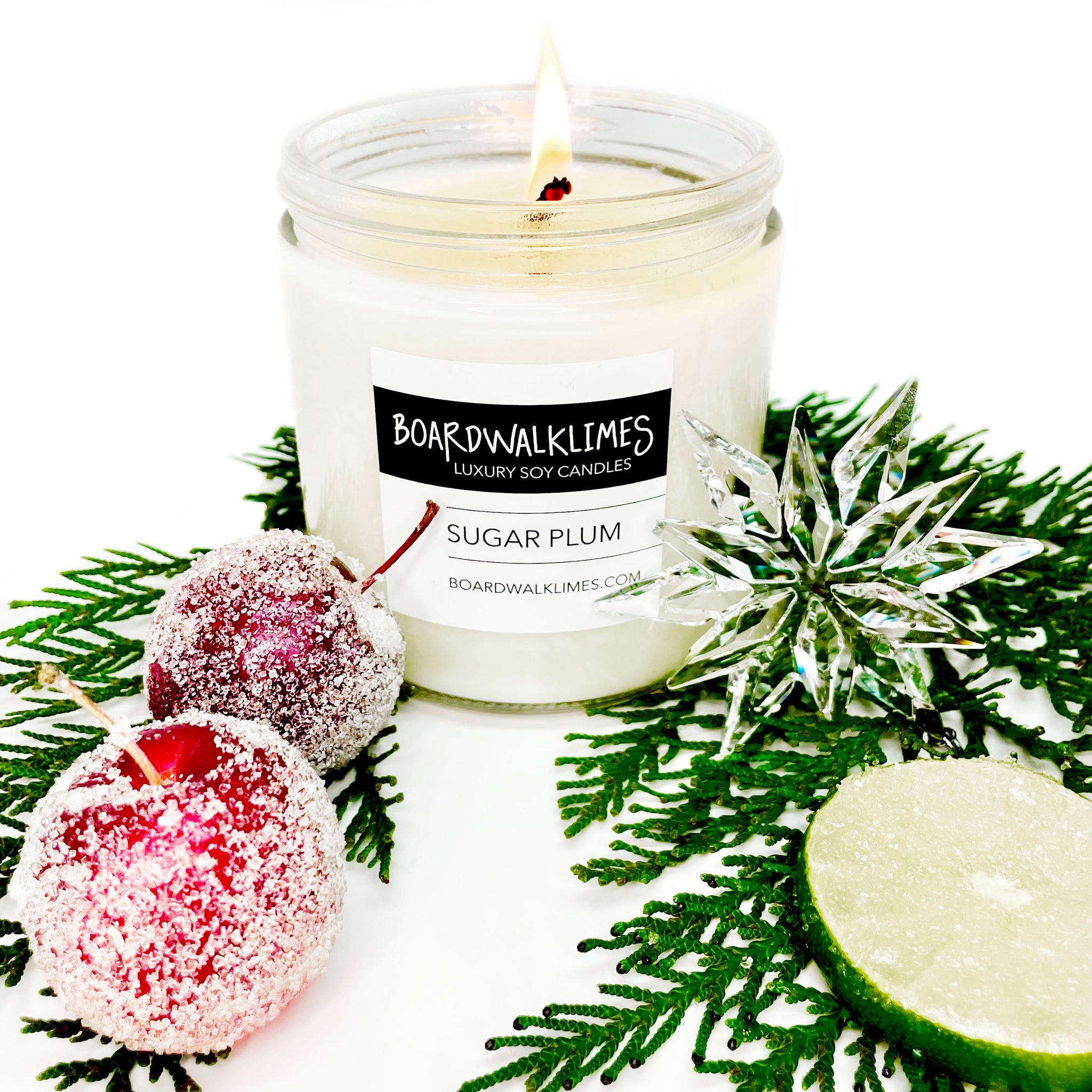 Dark sugared plums meet a subtle citrus twist for the best winter scented soy candle in a glass jar with a shiny black lid.